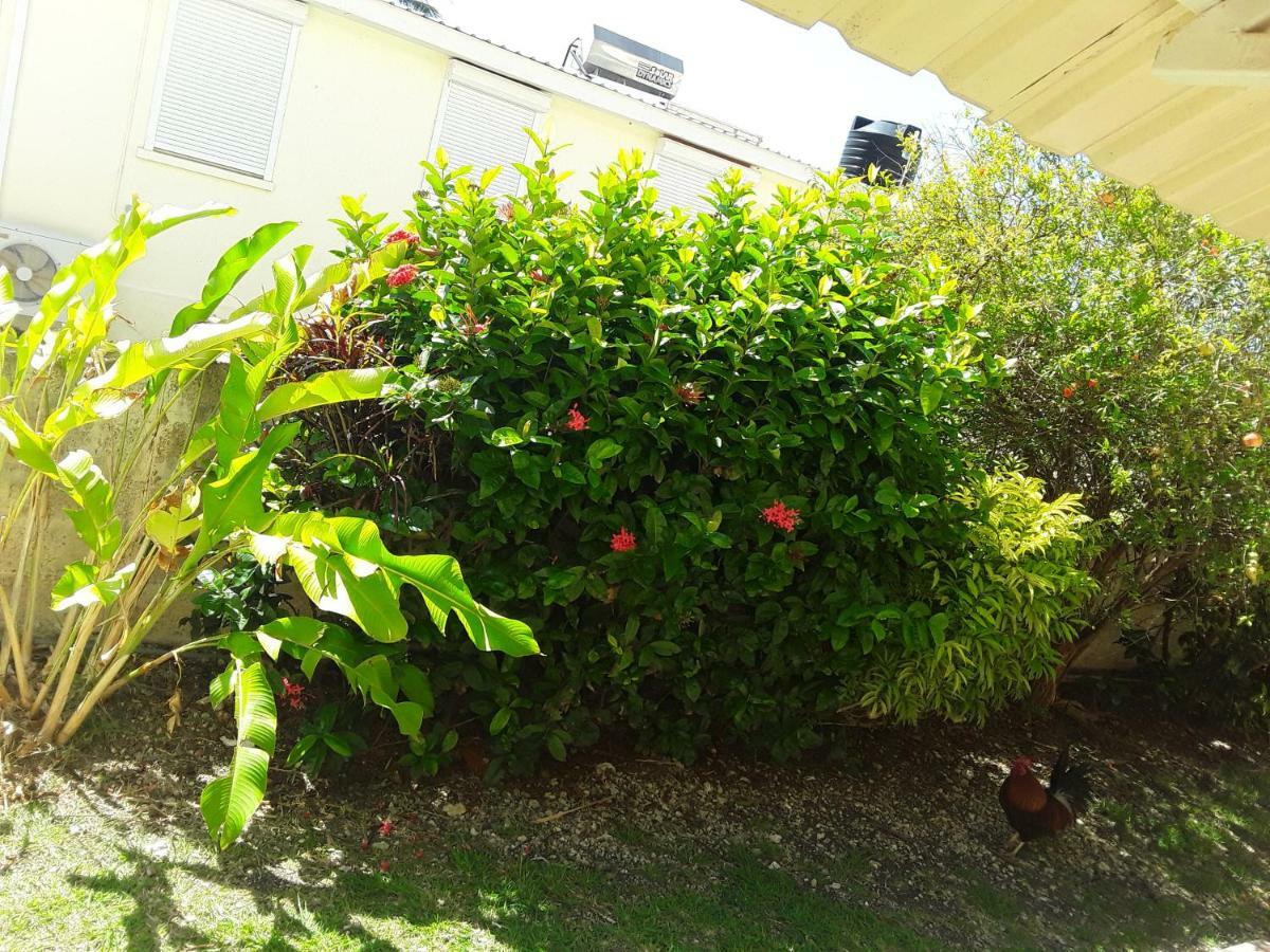 Oistins Carib Blue Apartments מראה חיצוני תמונה
